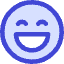 Smiley Excited Icon from Core Duo Set