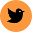 Twitter 2 Icon from Kameleon Pop Set