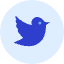 Twitter 2 Icon from Kameleon Duo Set
