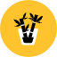 Bamboo Icon from Kameleon Pop Set