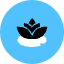 Lotus Icon from Kameleon Pop Set