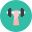 Dumbbell 2 Icon from Kameleon Colors Set
