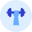 Dumbbell 2 Icon from Kameleon Duo Set