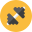 Dumbbell Icon from Kameleon Colors Set