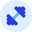 Dumbbell Icon from Kameleon Duo Set