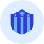 Usa Shield Icon from Kameleon Duo Set