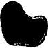 Bean Curve Element from Organic Shapes - Rough Ink Set