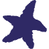 Nature Animal Star Element from Organic Shapes - Rough Ink Set
