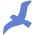 Shape Bird Nature Element from Organic Shapes - Flat Set