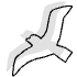 Shape Bird Nature Element from Organic Shapes - Combo Set