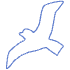 Shape Bird Nature Element from Organic Shapes - Line Set