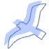 Shape Bird Nature Element from Organic Shapes - Combo Set