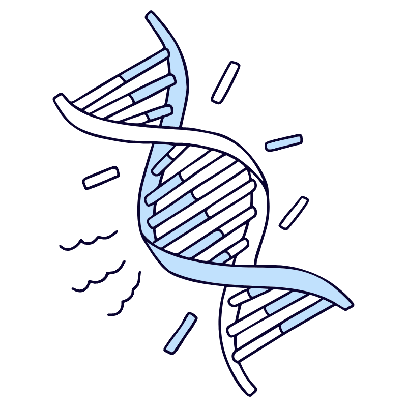 Dna 1 Illustration from Bruxelles Duotone Set