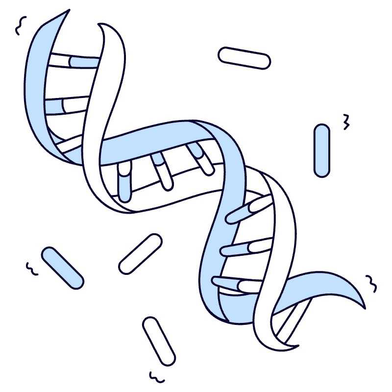 Dna 3 Illustration from Bruxelles Duotone Set