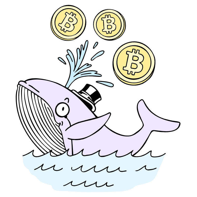 Slang Whale Illustration from Bruxelles Set