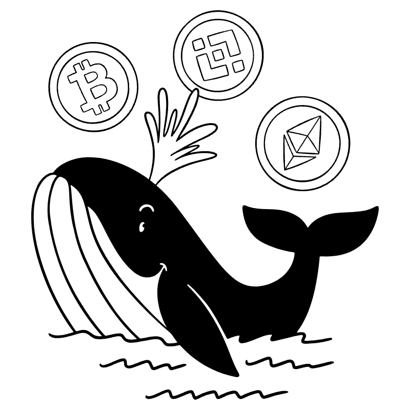 Whale Slang Illustration from Milano Set