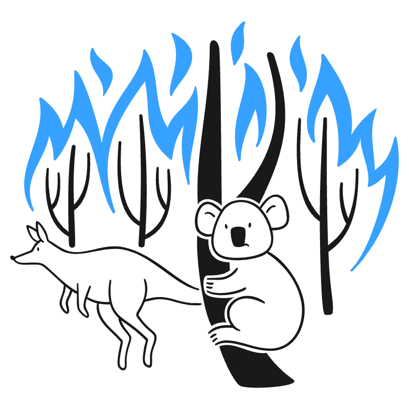 WILDFIRE 2 Illustration from Brooklyn Set