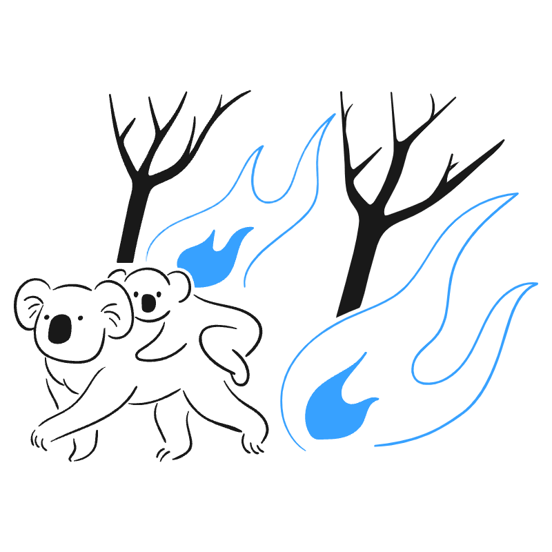 WILDFIRE 3 Illustration from Brooklyn Set