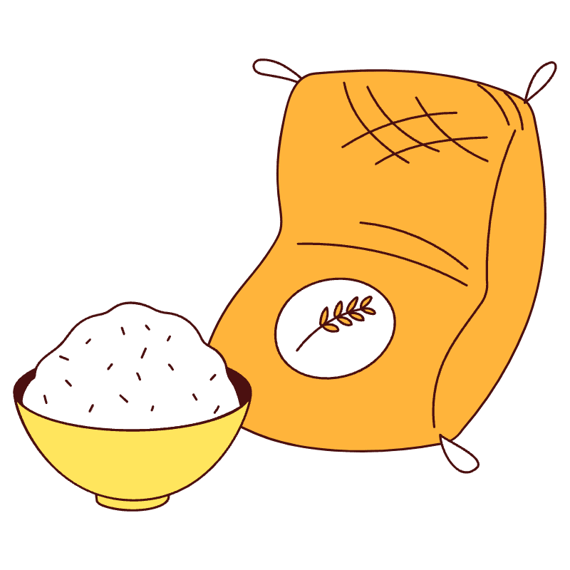 Grains Rice Illustration from Lagos Set