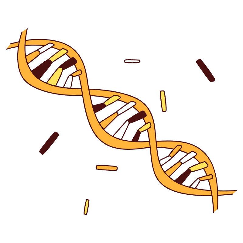 Dna Illustration from Lagos Set
