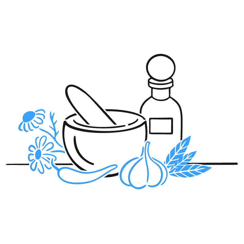 Herbs Illustration from Brooklyn Set