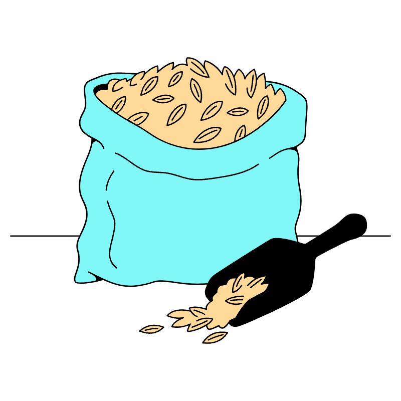 Grains Rice Illustration from London Set