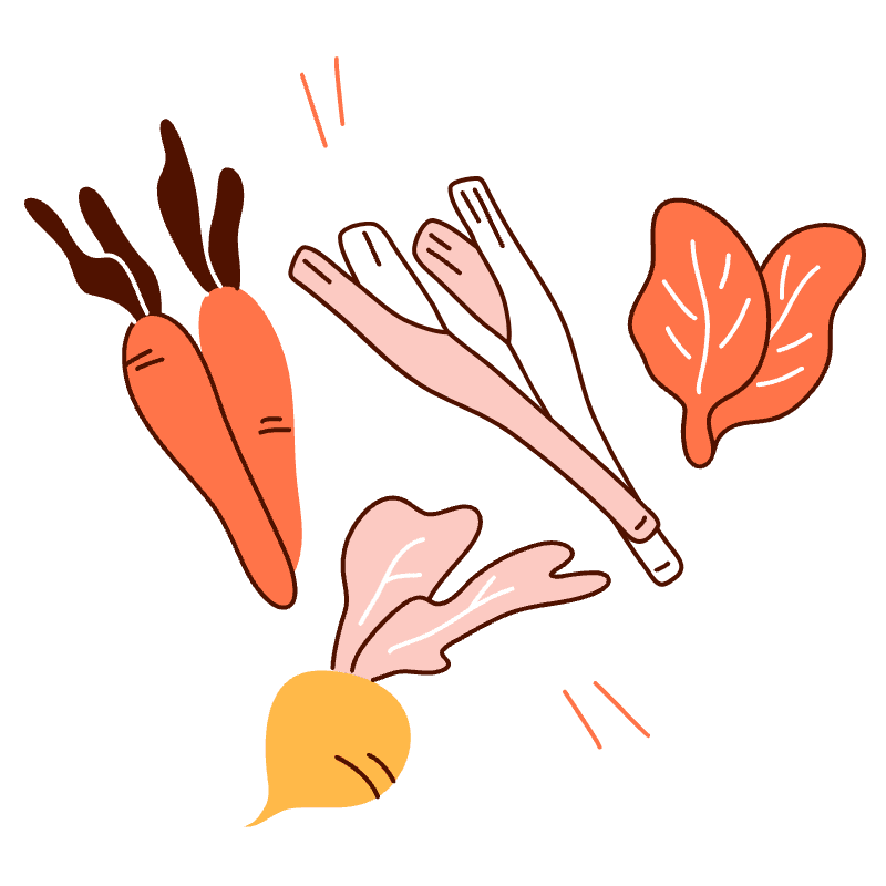 Vegetables 2 Illustration from Manchester Set
