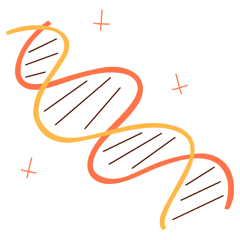 Dna Illustration from Manchester Set