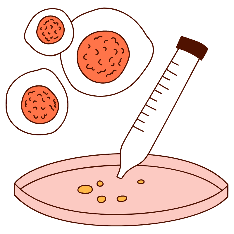 Stem Cell Research 2 Illustration from Manchester Set