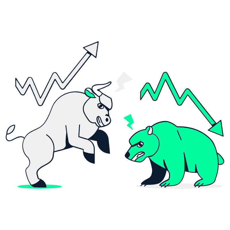 Bull Vs Bear Illustration from Miami Set