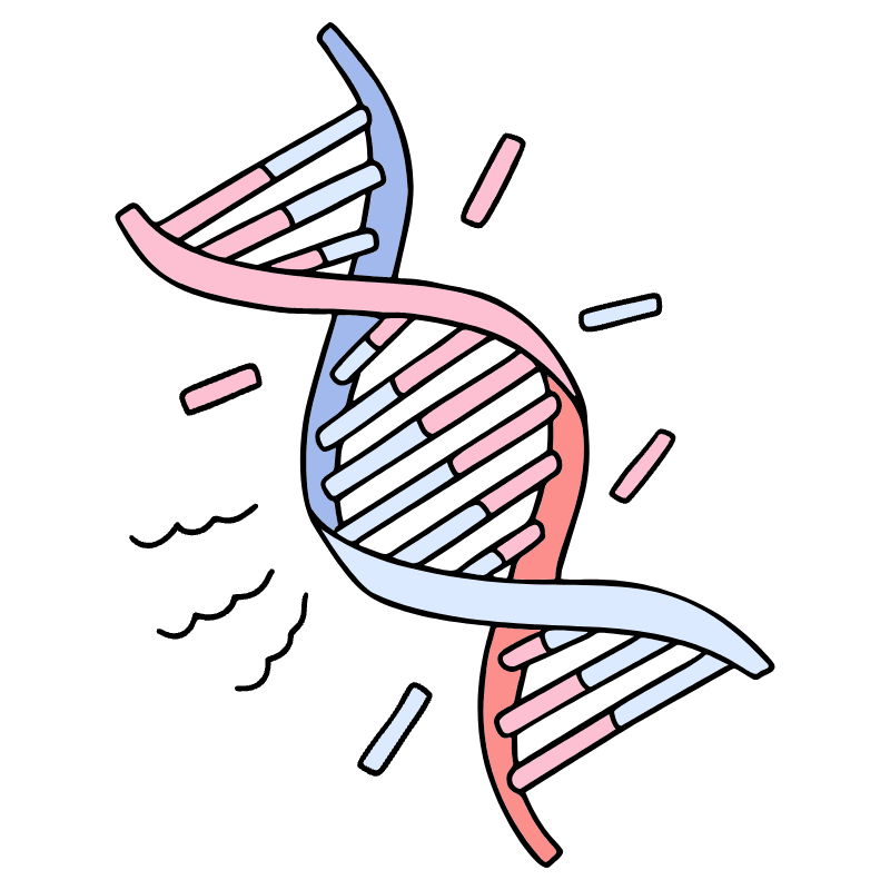 Dna 1 Illustration from Bruxelles Set