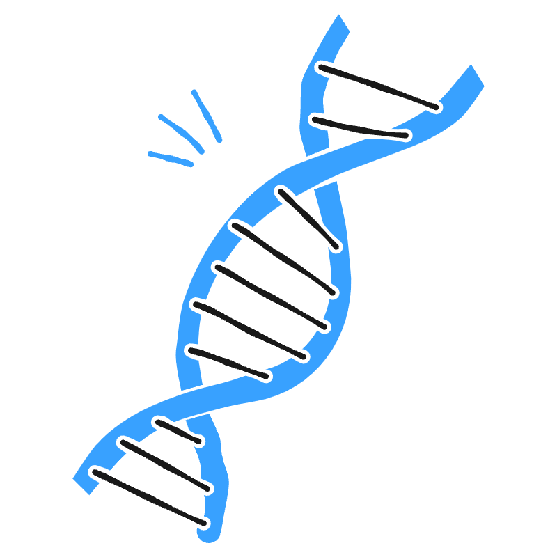 Dna 2 Illustration from Brooklyn Set