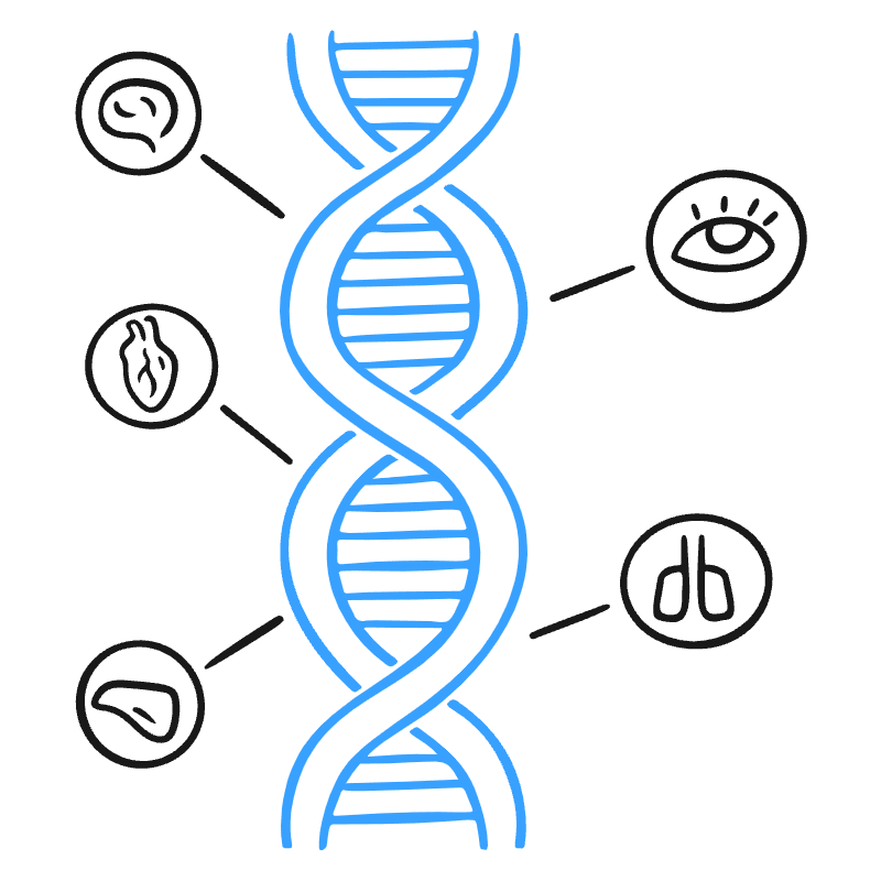 Dna Illustration from Brooklyn Set
