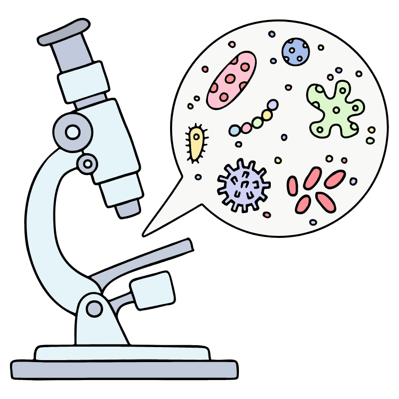 Microscope 1 Illustration from Bruxelles Set