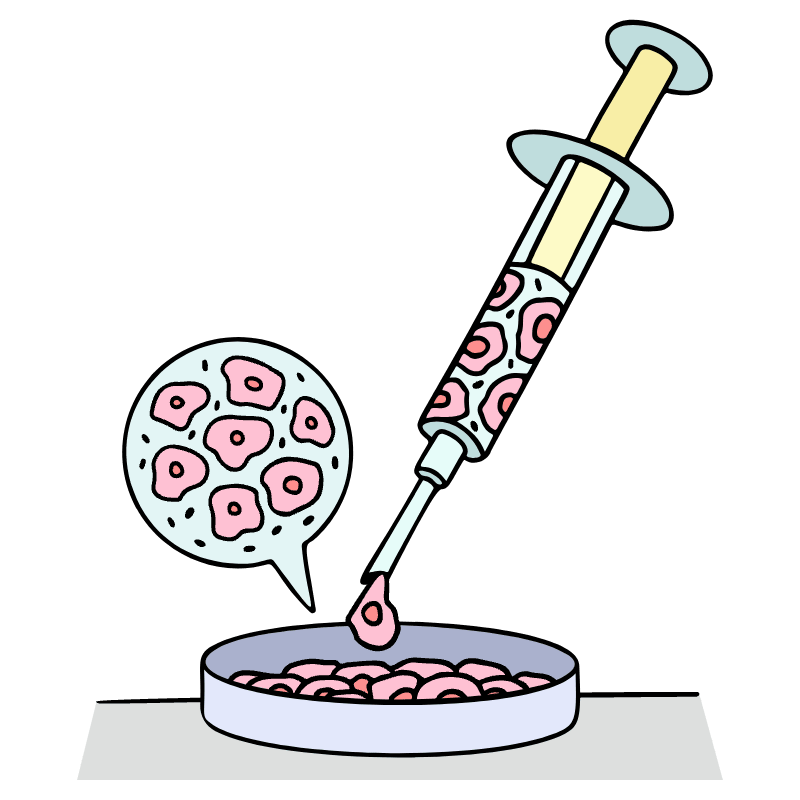 Stem Cell Research 1 Illustration from Bruxelles Set