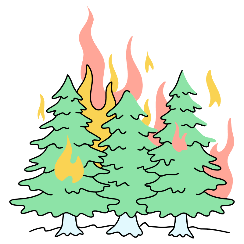 Wildfire Illustration from Tokyo Set