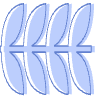 Line Nature Leaves Element from Geometric shapes Set