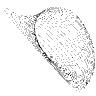 Morph 25 Element from Symbols 3D - Wireframe Set