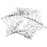 Swing 5 Element from Symbols 3D - Wireframe Set